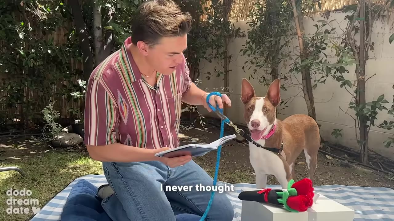 A man in a striped shirt sits on a picnic blanket outdoors, reading from a small notebook to a brown and white dog standing beside him.