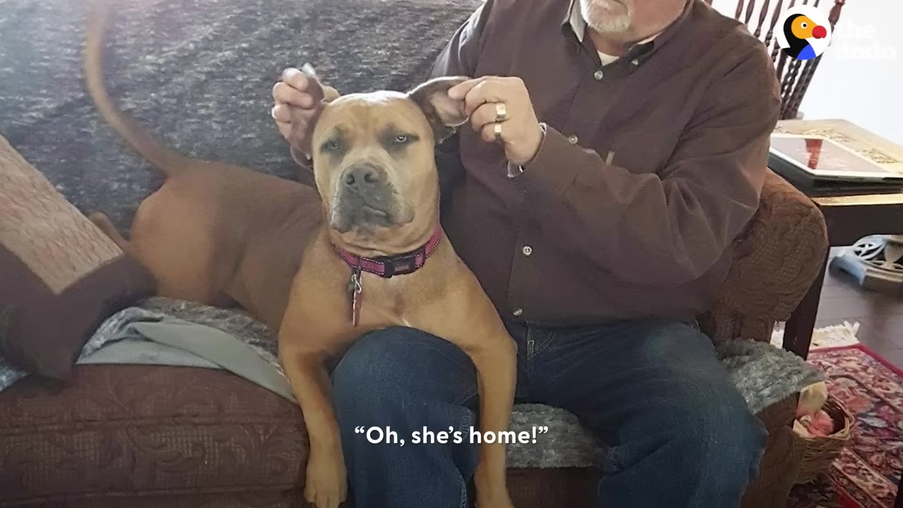 A brown dog sits on a man's lap on a brown couch while he gently holds her ears, with the subtitle 'Oh, she's home!' on screen.