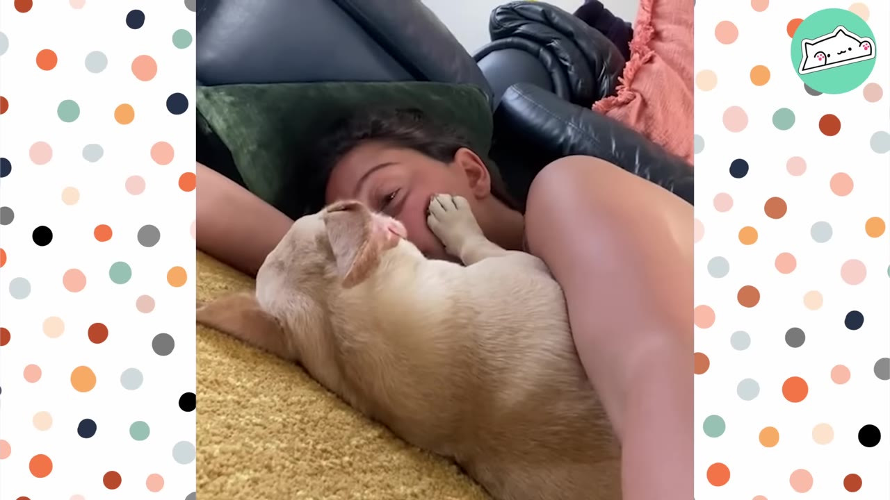 A small tan dog lies on a woman's chest, gently placing its paw on her cheek as she looks at it with emotion.