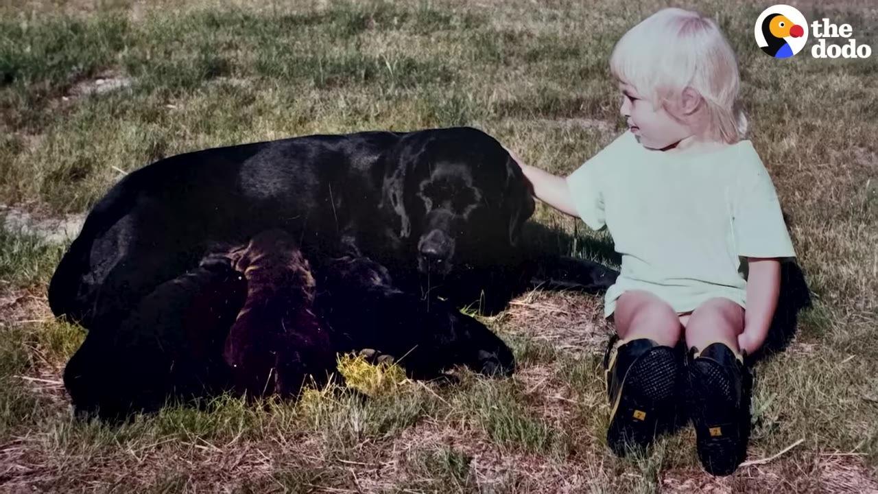 An archival photo of a young blonde child sitting on the grass, gently petting a black dog lying down with its puppies.