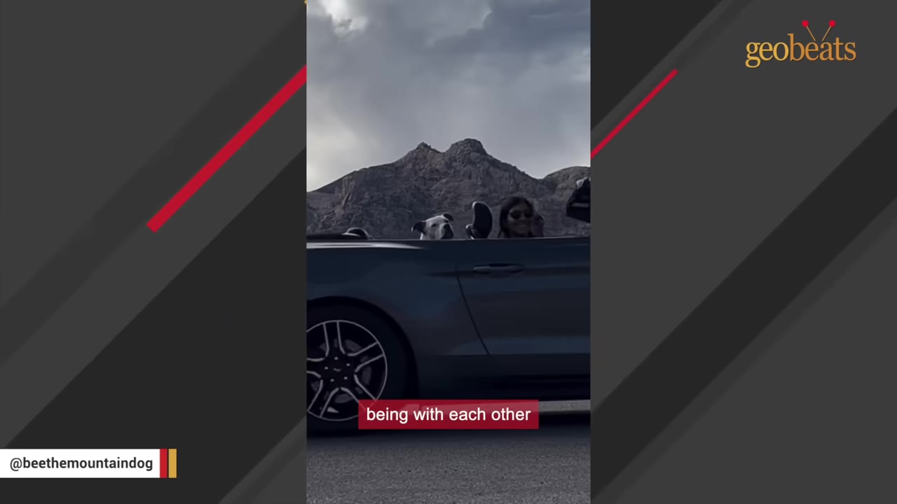 A dog and a person sitting in a convertible car with mountains in the background.