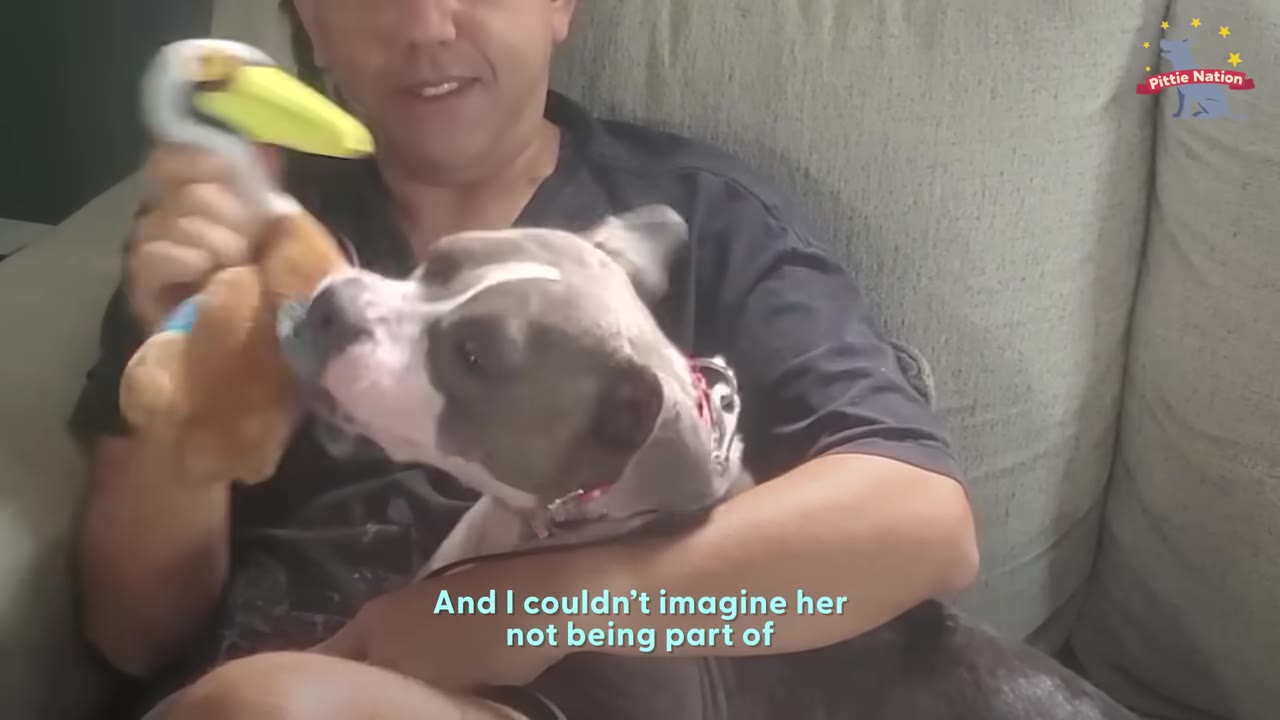 A man sitting on a couch holds a grey and white dog in his lap while holding a plush bird toy for her.