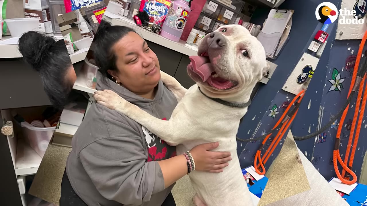 A smiling woman in a grey hoodie hugging a large white dog standing on its hind legs with its paws on her shoulders.