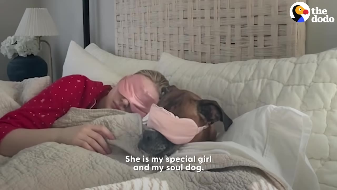 A woman and her dog lie side-by-side in bed under a blanket, both wearing matching pink sleep masks.