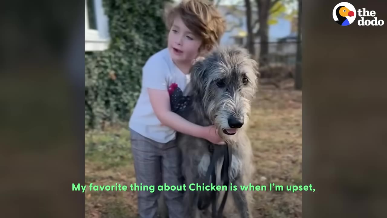 A young child with light brown hair hugs a large, shaggy grey Irish Wolfhound dog around the neck while standing outdoors.