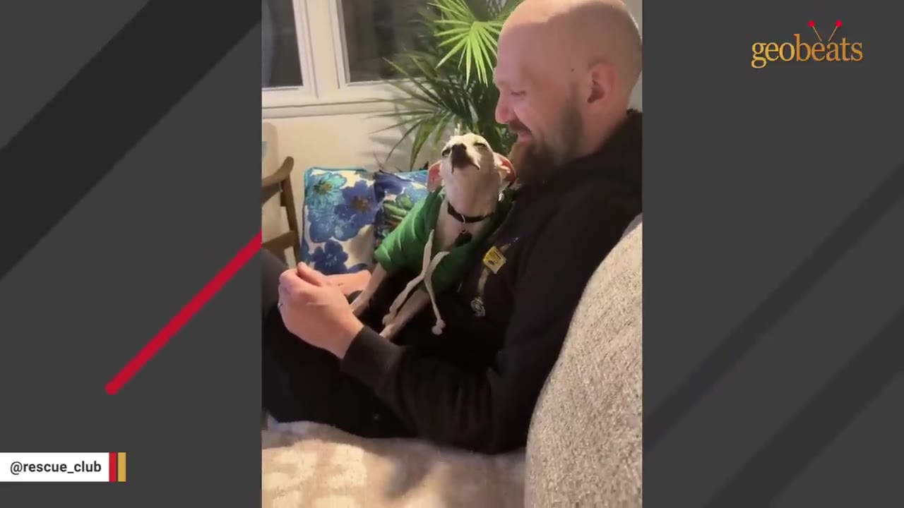 A small dog wearing a green hoodie sits on a man's lap on a couch, looking up affectionately at him while the man smiles.