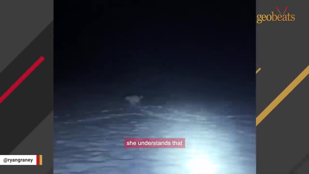 A small white dog runs across a snow-covered ground at night, illuminated by a bright beam of light.