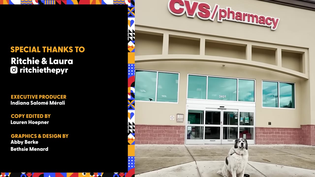 A large fluffy dog sits on the sidewalk in front of a CVS Pharmacy entrance, with credits displayed on the left side of the frame.