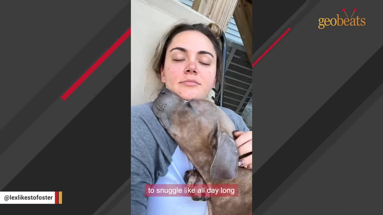 A woman with her eyes closed snuggles with a brown dog resting its head on her chest.