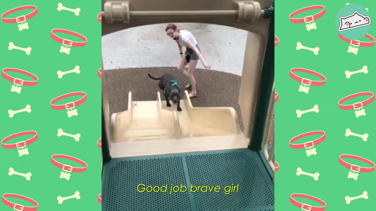 A dark-colored dog wearing a harness walks up a playground slide toward a smiling woman.