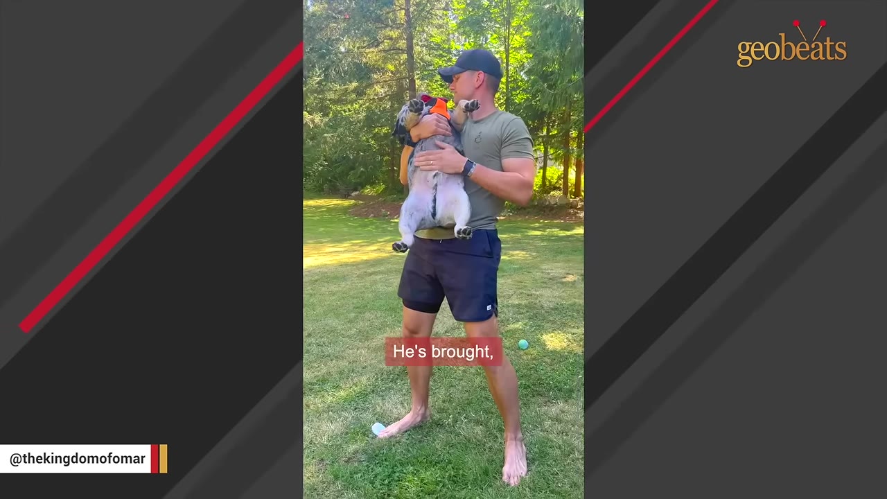 A man in a green t-shirt, black shorts, and a baseball cap holds a French bulldog upright in his arms while standing on a grassy lawn.