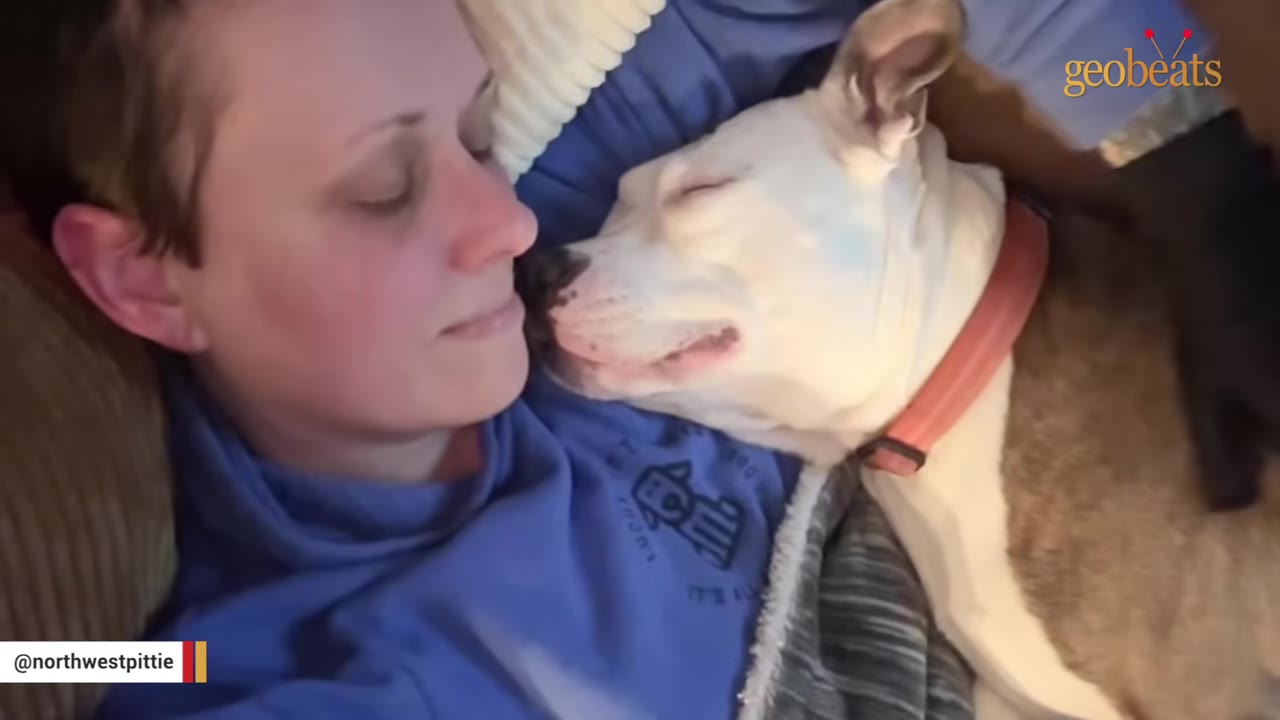 A close-up shot of a woman with short hair lying down, cuddling with a white dog wearing a red collar who appears to be sleeping peacefully next to her face.