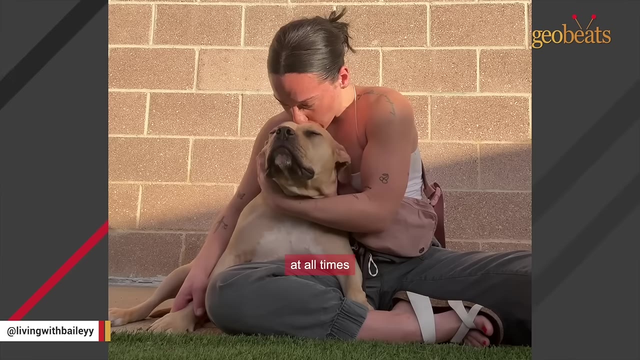 A woman sitting cross-legged on the grass kisses a light brown dog on the head while hugging it tightly against a brick wall.