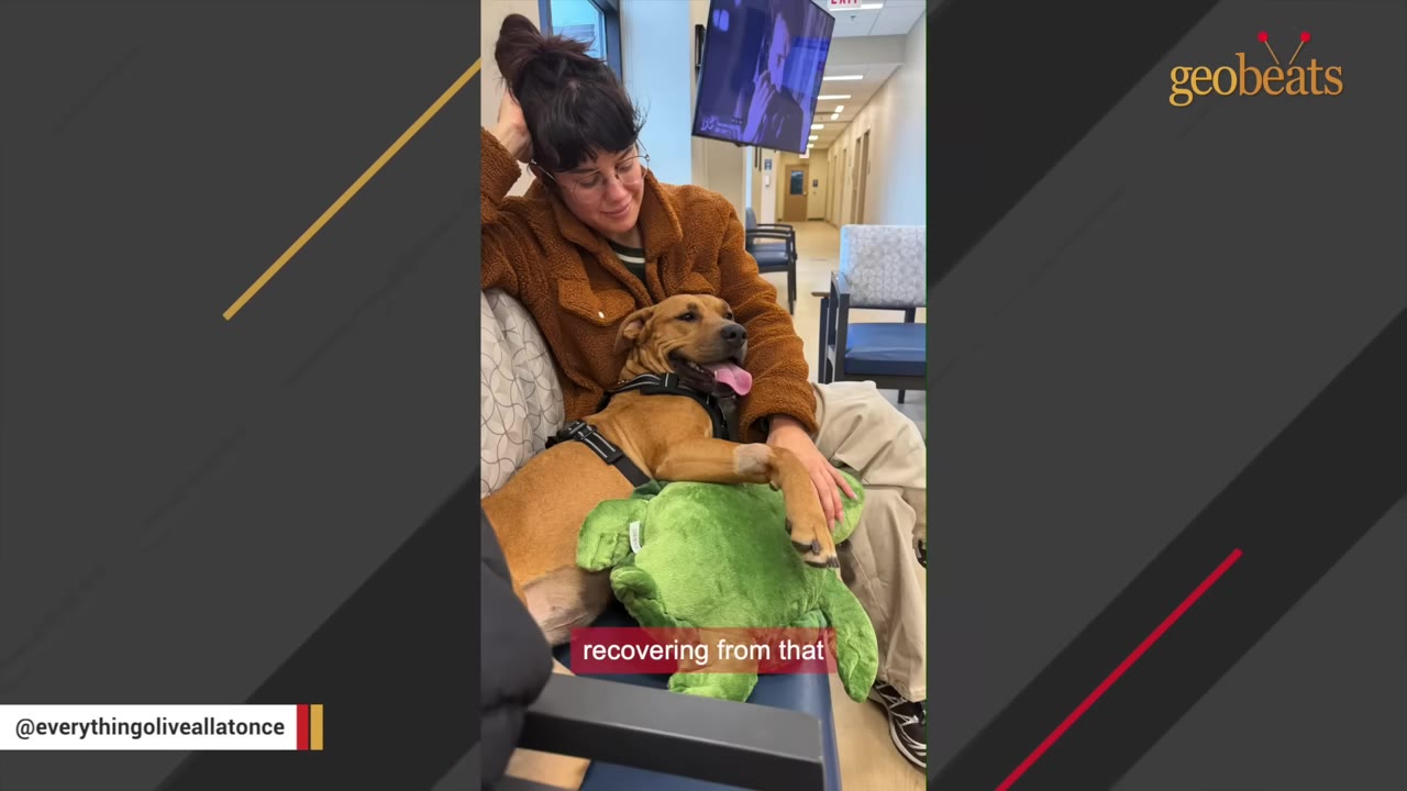 A woman with dark hair and glasses sits in a waiting room, resting her head on her hand with a sad expression, while a brown dog rests next to her with its paw on a green plush toy.
