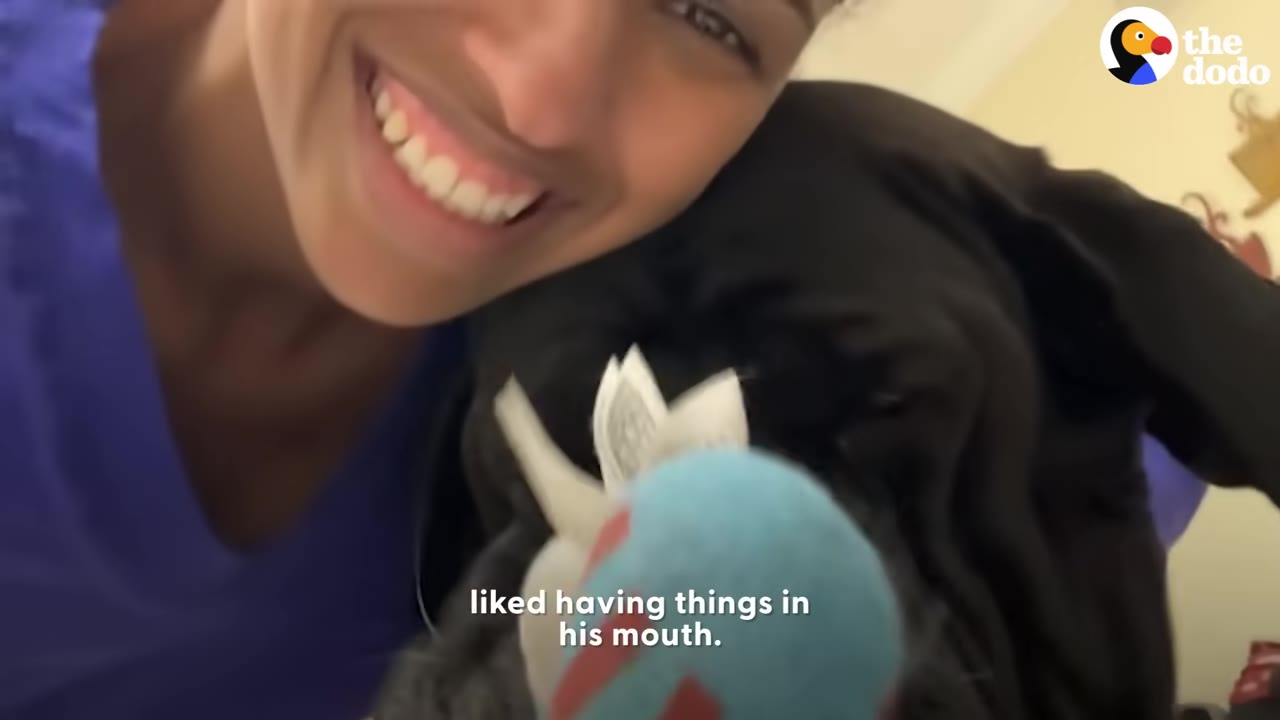 A close-up of a smiling person next to a black dog holding a blue plush toy in its mouth.