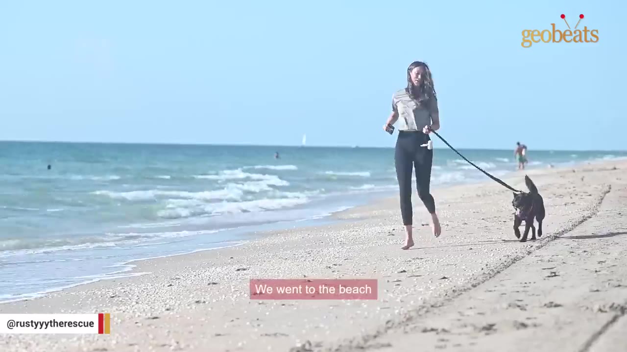 A woman in a grey t-shirt and black leggings walks barefoot along a sandy beach with a black dog on a leash, with ocean waves rolling in on the left.