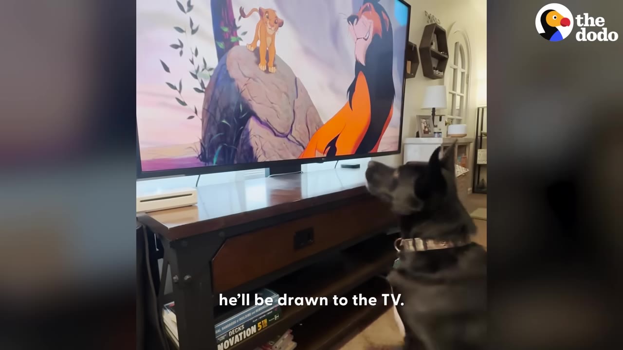 A black dog sits in front of a television screen showing the animated characters Simba and Scar from The Lion King.