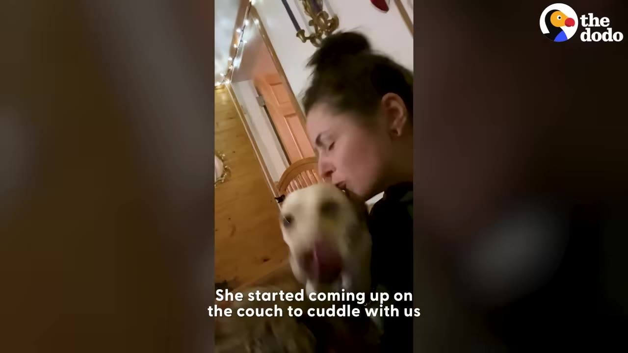 A woman with her hair in a bun leans in to kiss a light-colored dog on the head as the dog cuddles with her on a couch.