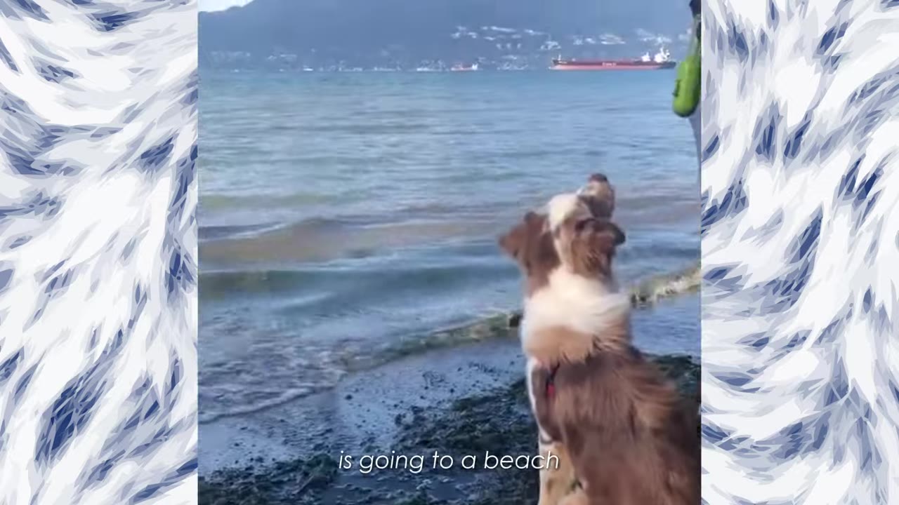 A brown and white dog sits on a sandy shore looking out at a body of water with mountains in the distance.