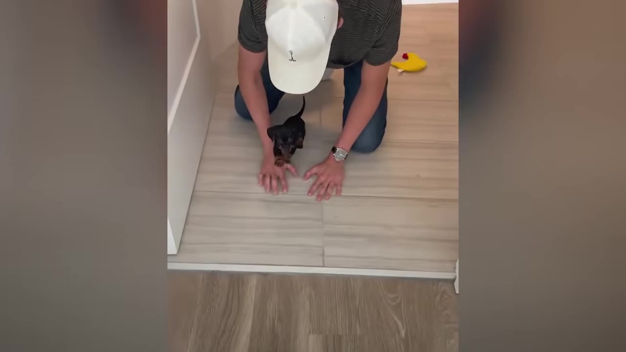 A man wearing a white baseball cap and a striped shirt kneels on a tiled floor, placing his hands on either side of an extremely small black dachshund puppy.