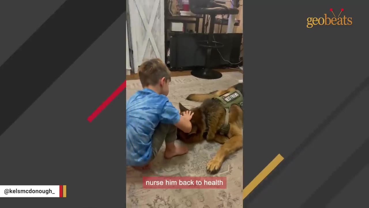 A young boy in a blue tie-dye shirt gently pets a German Shepherd wearing a vest that says 'BEST FRIEND' as the dog rests on a rug inside a home.