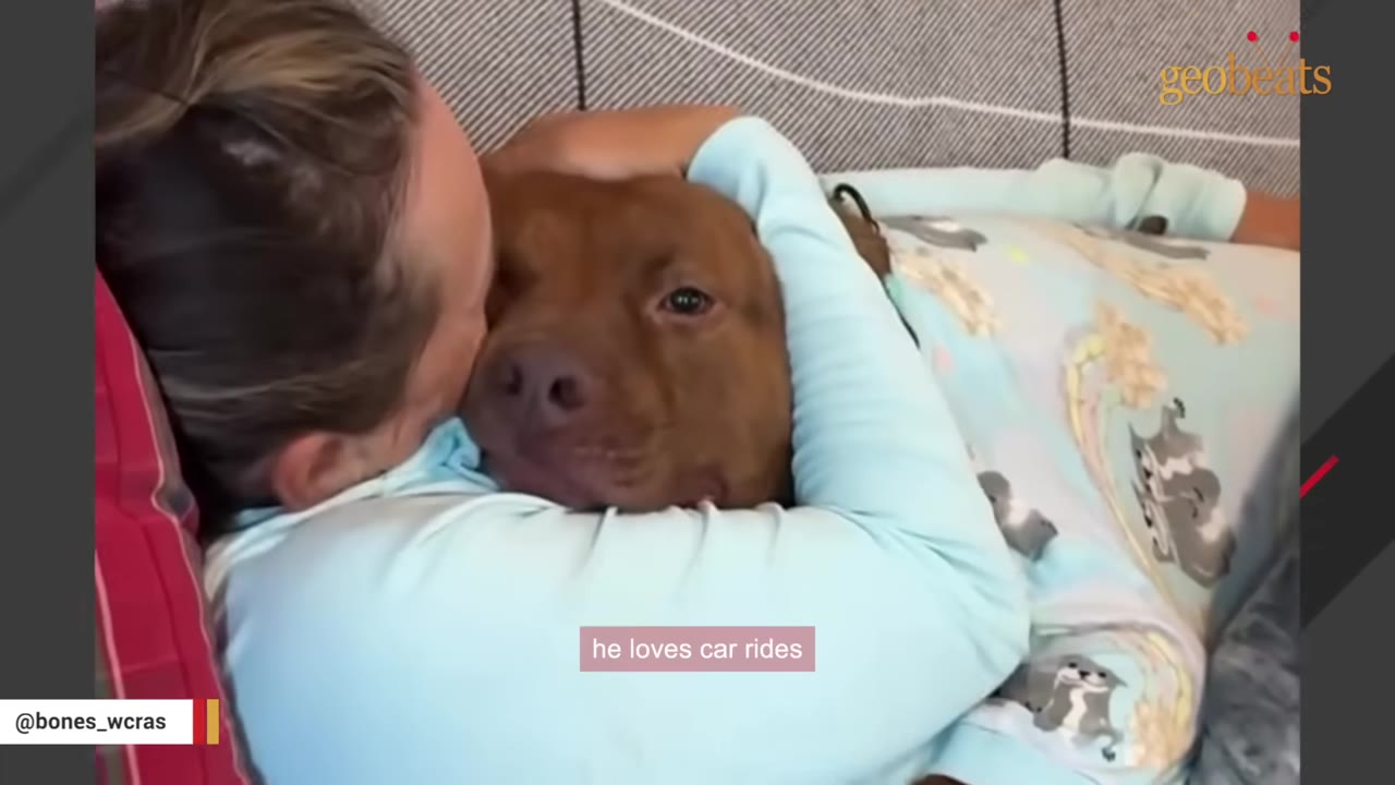 A brown dog is cuddled closely by a person wearing light blue pajamas while lying down.