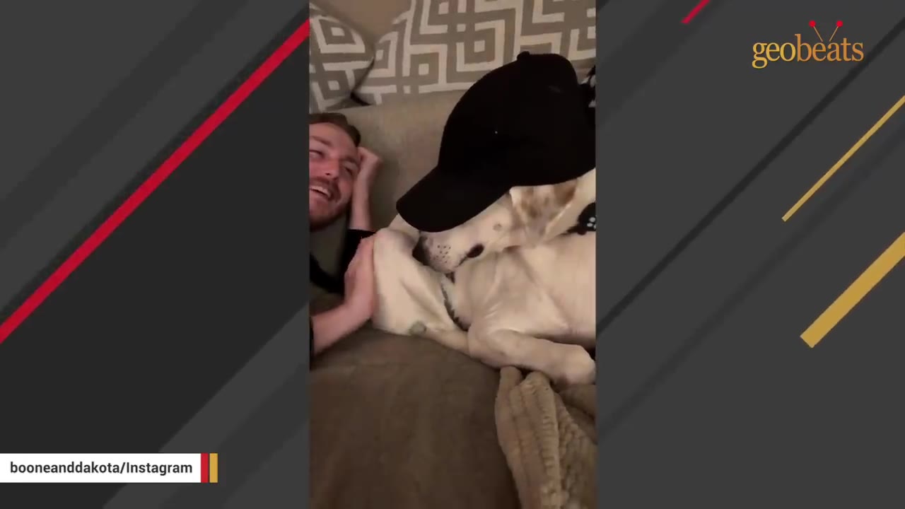 A man smiling on a couch next to a light-colored dog wearing a black baseball cap.