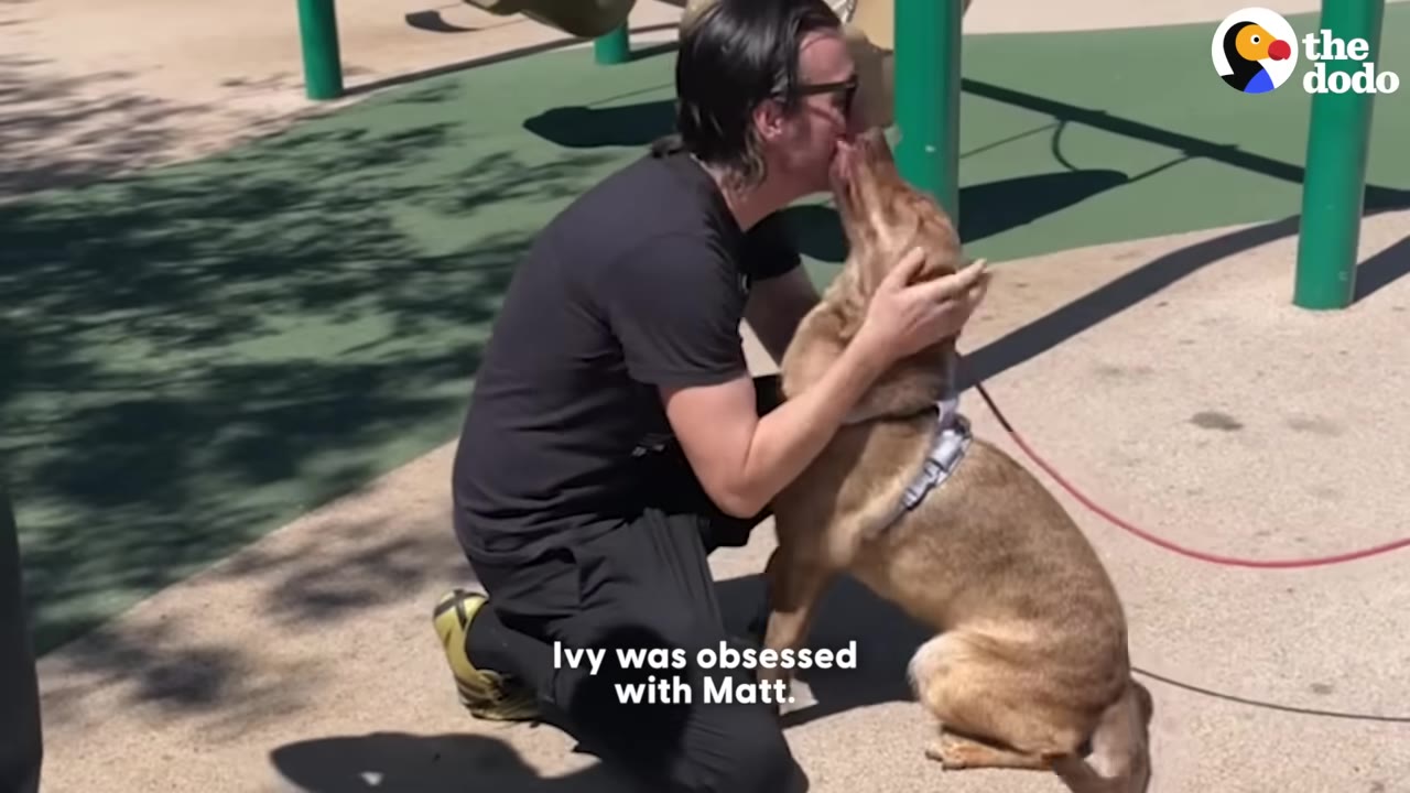 A man in a black t-shirt kneels on a playground to hug and kiss a brown dog wearing a harness.