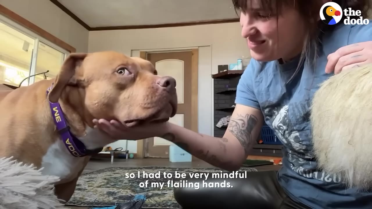 A woman with tattoos gently cradles the chin of a brown pit bull-type dog as they look at each other indoors.