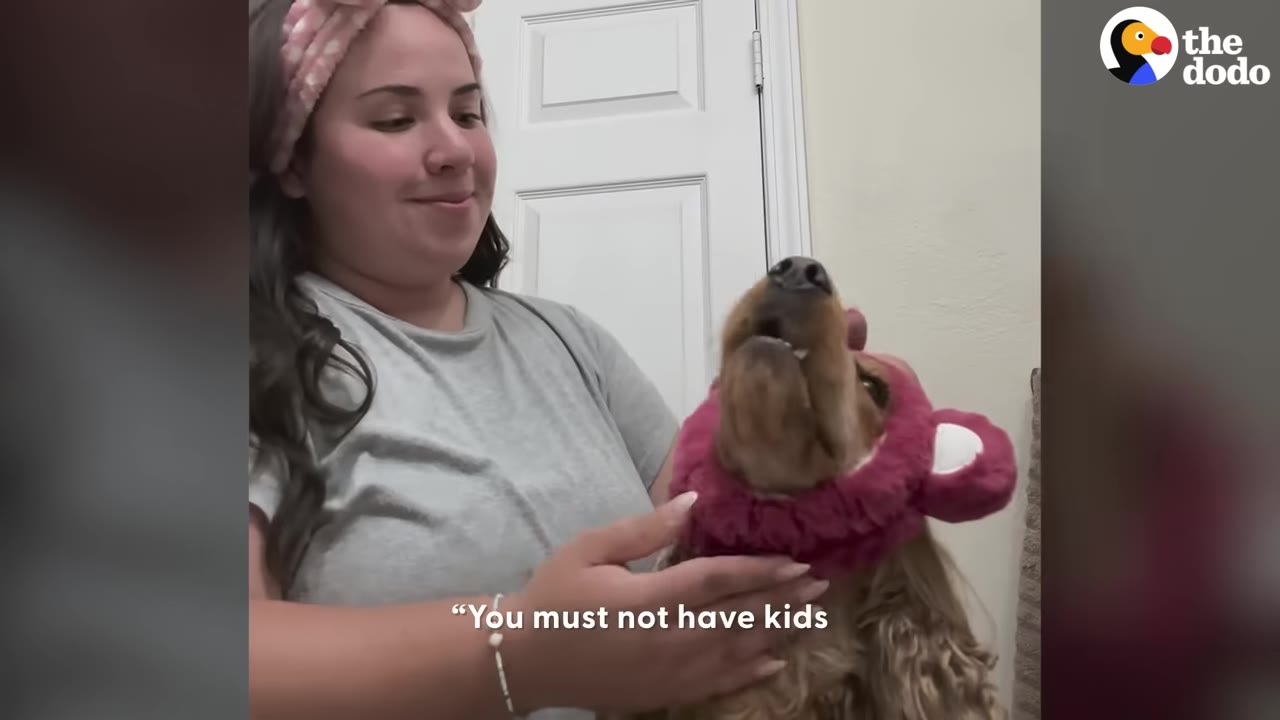 A fluffy brown dog wearing a pink bear-ear headband tilts its head back and howls as a woman gently holds its neck.