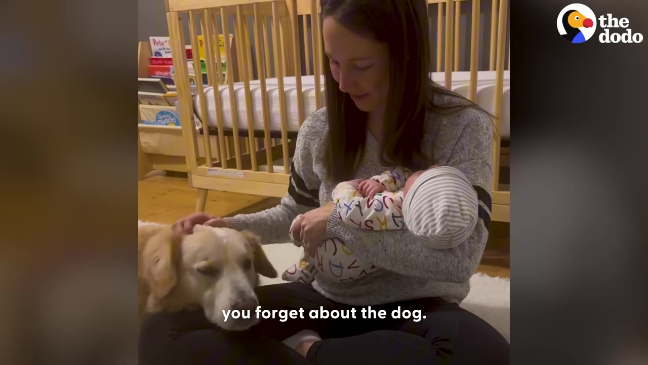 A woman sits on the floor holding a newborn baby in her arms while petting her golden dog with her other hand.