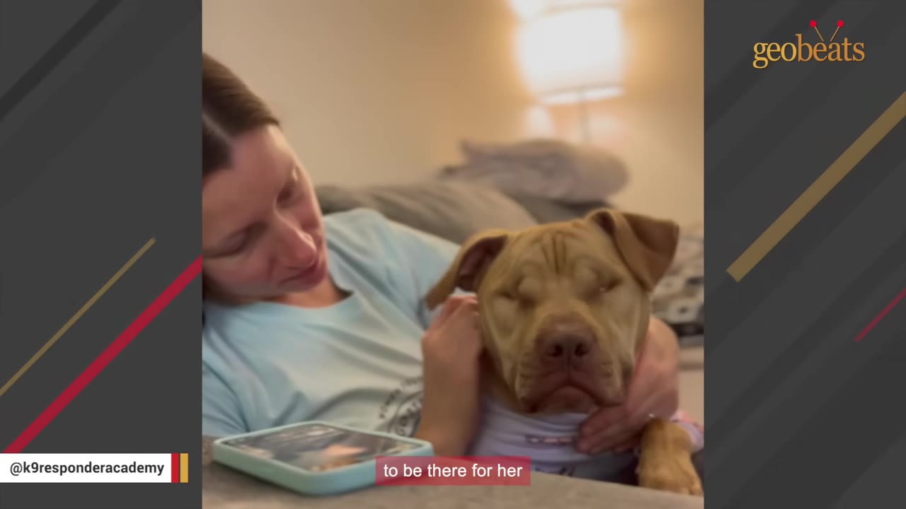 A woman gently embraces a blind tan dog wearing a light-colored shirt as they sit together on a couch.