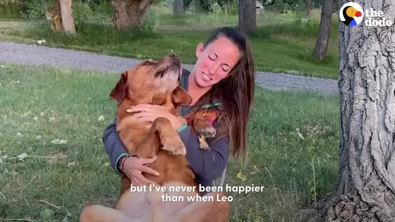A woman sits on the grass next to a tree trunk, cradling a large brown dog in her lap and smiling down at him.