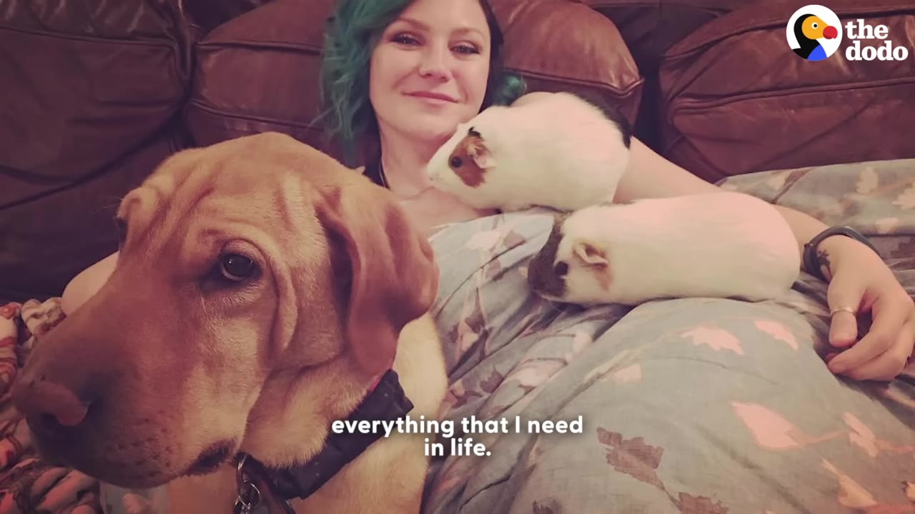 A smiling woman with green-tinted hair lies on a couch with a large tan dog and two guinea pigs resting on her chest.