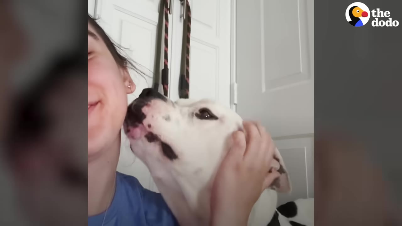 A smiling woman in a blue shirt holds a white dog with black spots as it licks her cheek.