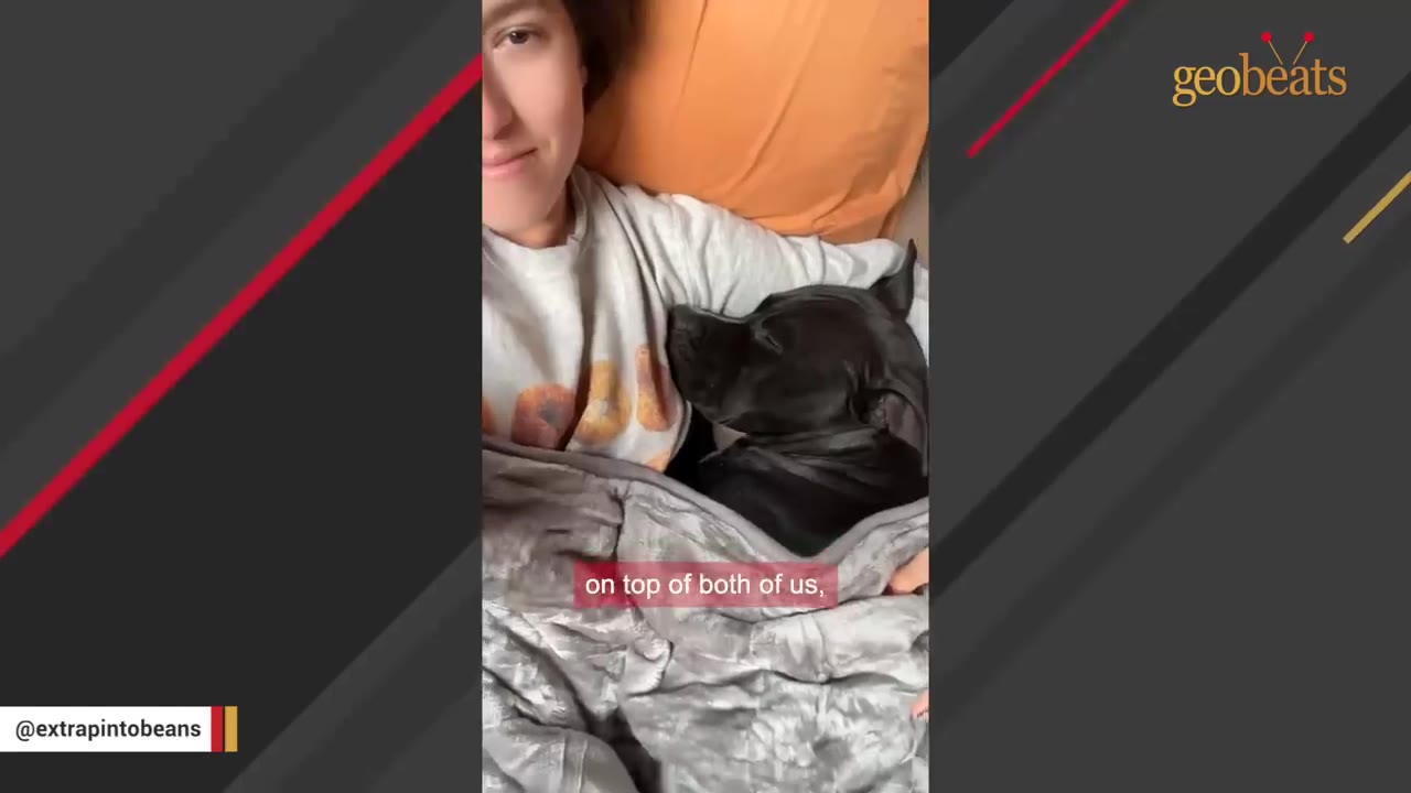 A black dog snuggles close to a woman lying in bed under a grey blanket.