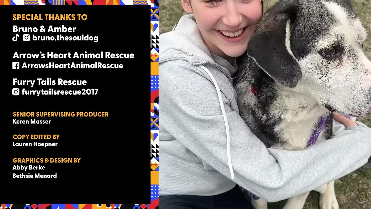 A smiling young girl in a grey hoodie hugs a black and white dog outdoors.