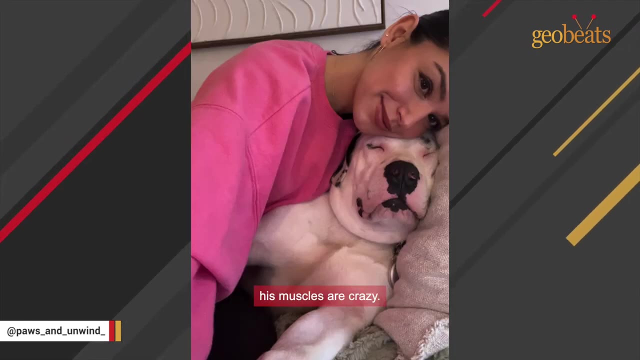 A woman in a pink sweatshirt cuddles a white dog with a muscular chest and front leg as it rests its head on a pillow.