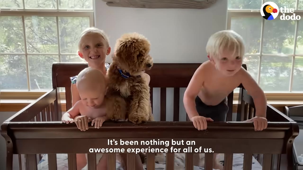 Three young children and a fluffy brown dog stand together inside a wooden crib, smiling.