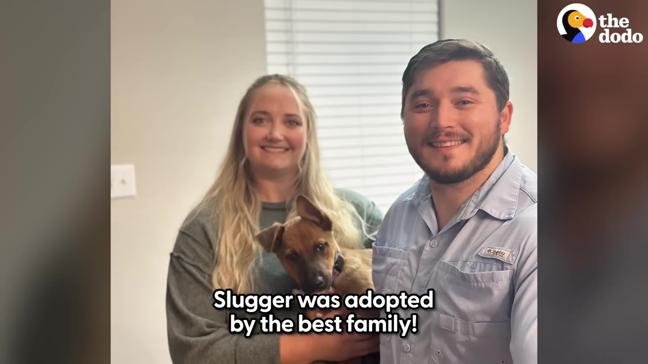 A smiling man and woman holding a small brown puppy named Slugger inside their home, with text overlay reading 'Slugger was adopted by the best family!'