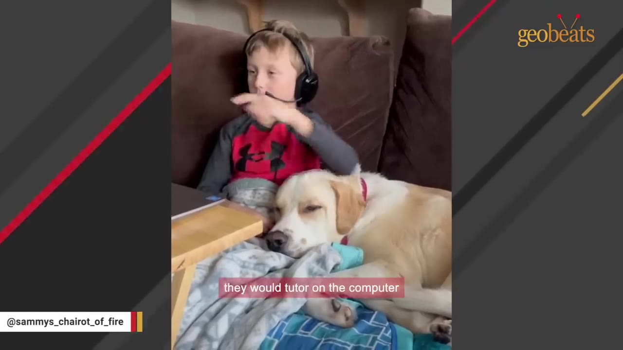 A young boy wearing a headset sits on a couch with a laptop on a tray in front of him, while a yellow Labrador retriever rests its head on his lap.