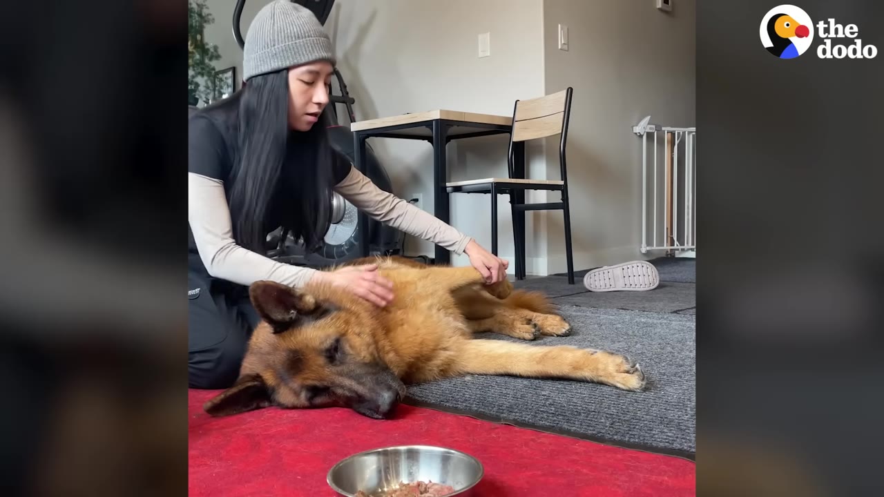 A woman wearing a grey beanie gently pets a senior German Shepherd lying down on a rug next to a metal food bowl.