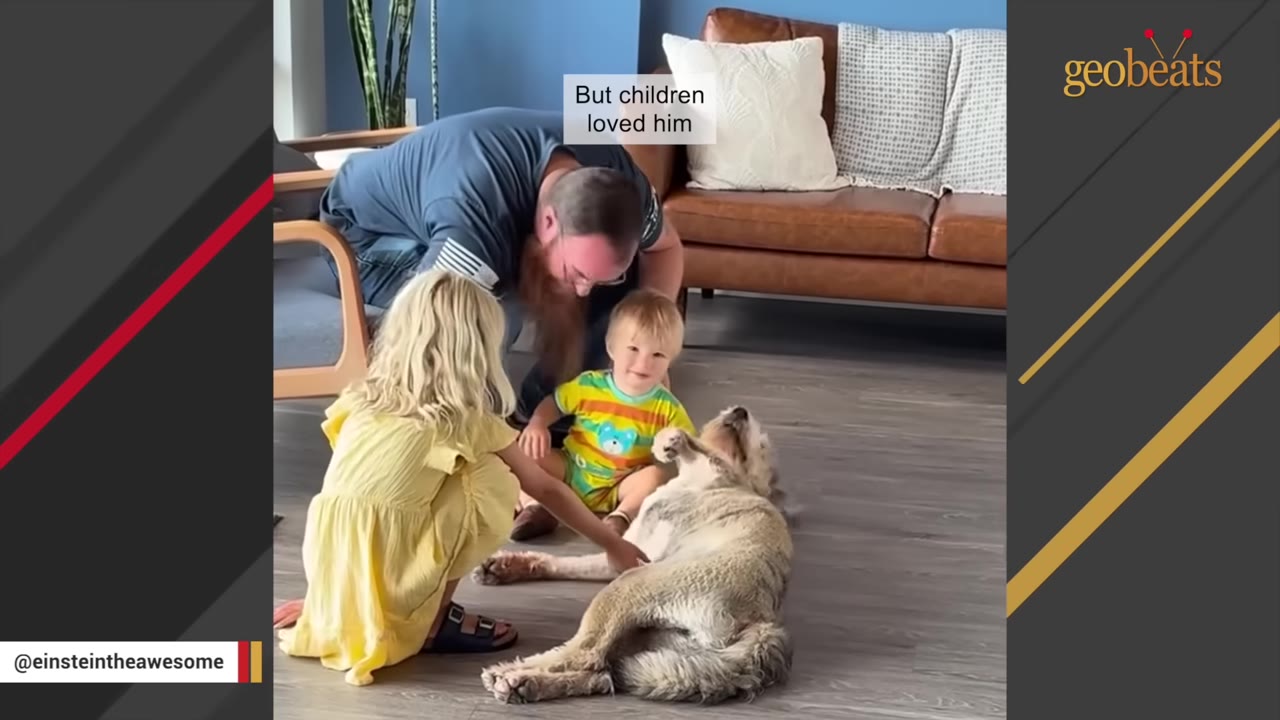 A fluffy dog lies on its back on a wooden floor while a young girl in a yellow dress pets its belly, a toddler sits nearby, and a man leans over them in a living room.