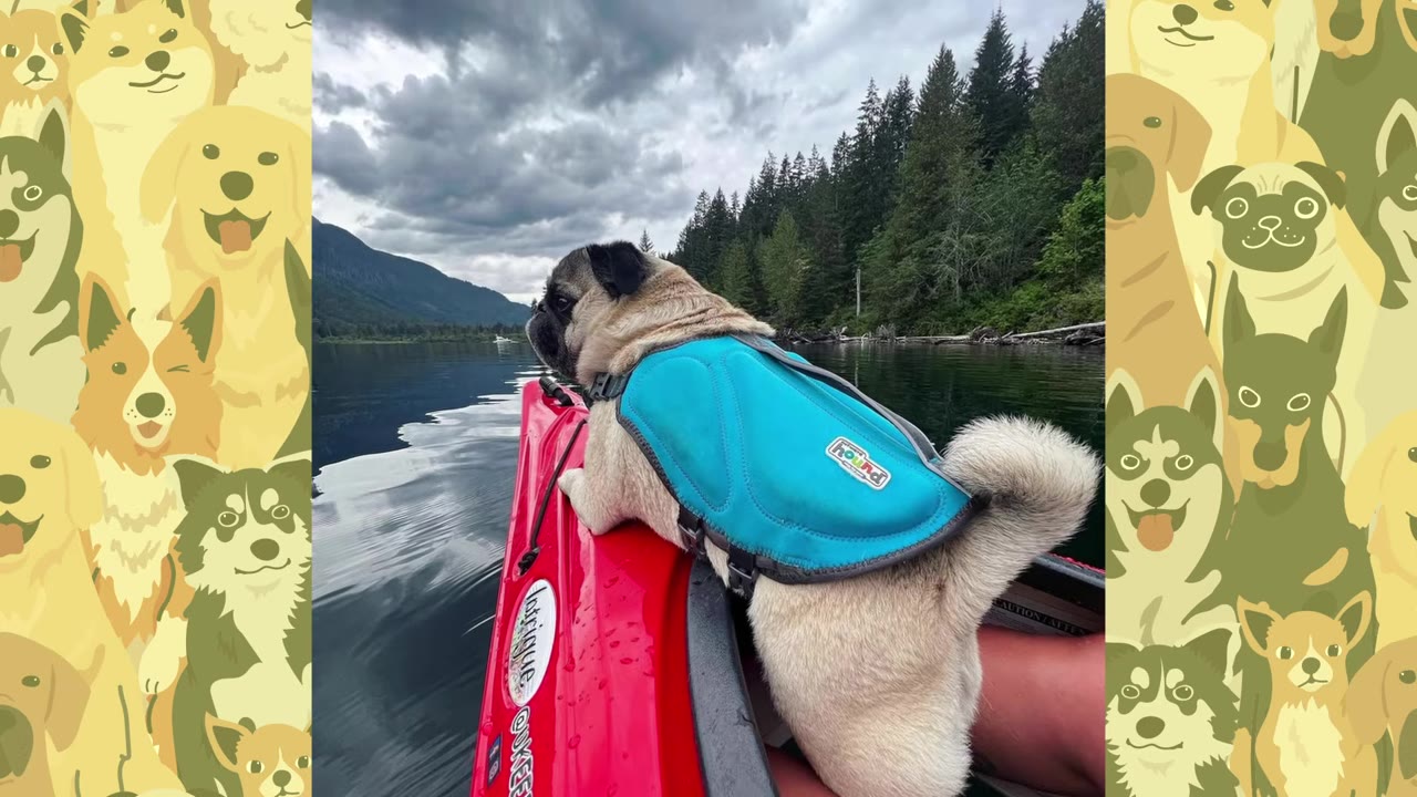 A pug wearing a blue life jacket stands on the edge of a red kayak, looking out over a calm lake surrounded by evergreen trees under a cloudy sky.