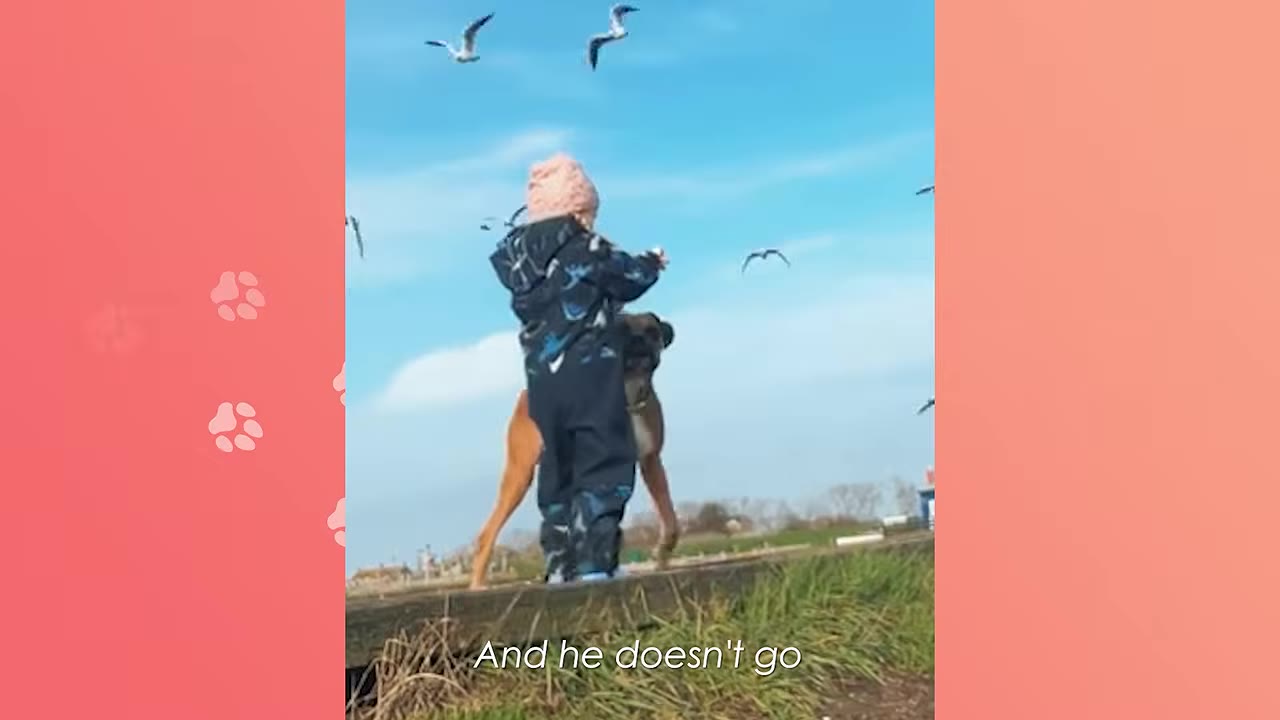 A young child in a dark blue winter jumpsuit and pink knit hat stands next to a brown dog on a grassy path under a blue sky with seagulls flying overhead.