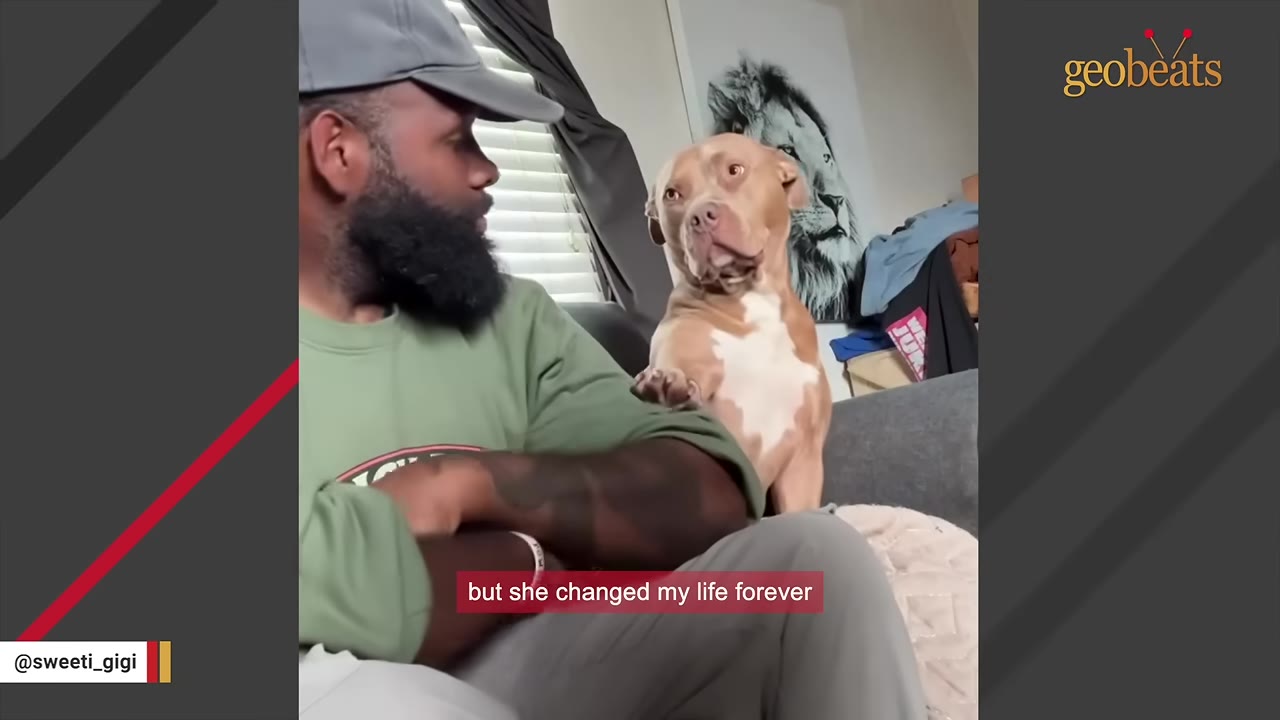 A tan and white pit bull sits on a couch next to a man with a beard and cap, gently placing her paw on his arm as they look at each other.