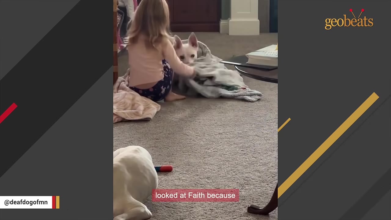 A young child sits on the carpeted floor, gently wrapping a white dog in a cozy blanket.