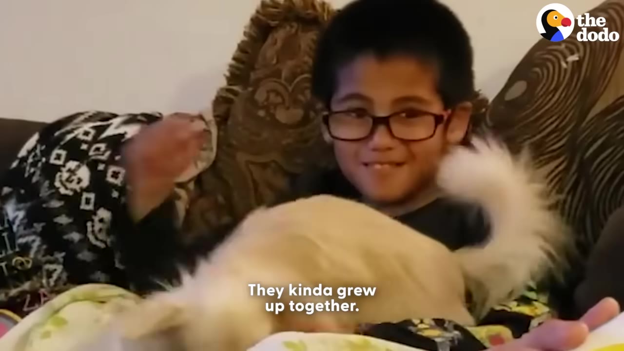 A smiling young boy wearing glasses sits on a couch next to a fluffy white dog with its tail raised.