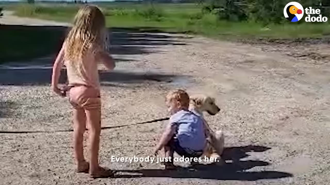 A light-colored dog sits calmly on a gravel path next to a crouching toddler and a standing young girl on a sunny day.
