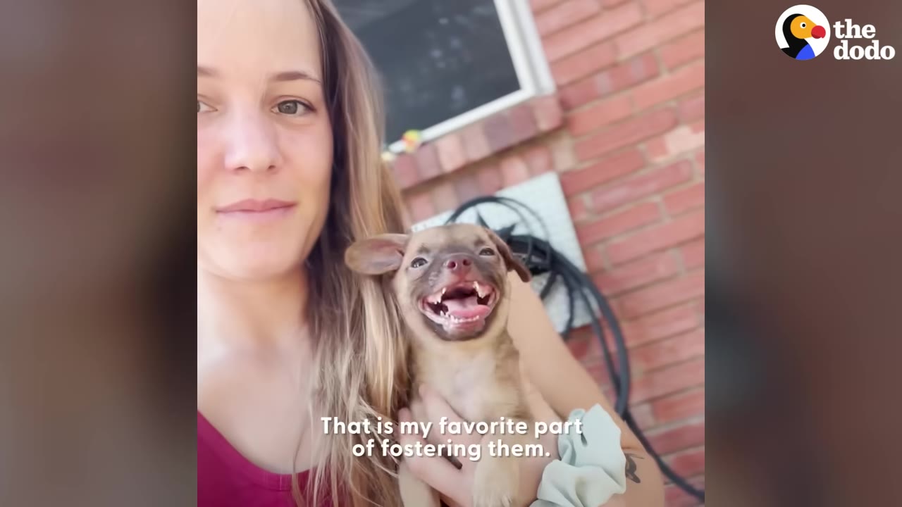 A woman smiles as she holds a small brown puppy that appears to be smiling widely with its mouth open.